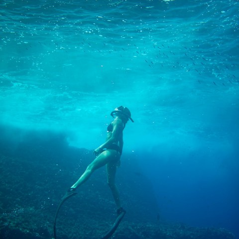 Niihau snorkeling