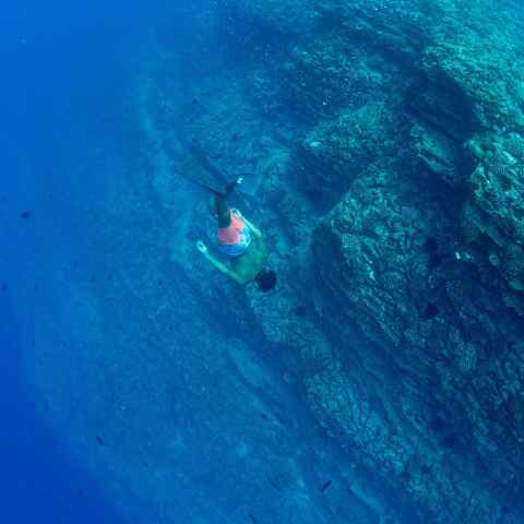 Best Kauai snorkeling tour