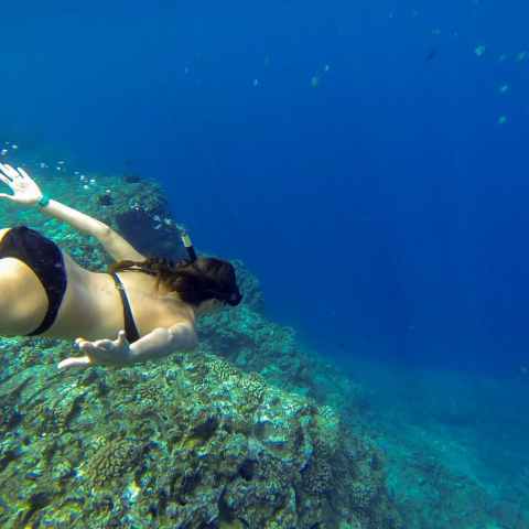 snorkeling off Niihau